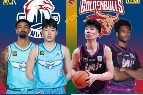 欧博注册 -关于赛地聚焦：CBA季后赛关键时刻热度飙升，新奥尔良鹈鹕强势反弹，底气十足，团队化学反应显著的信息